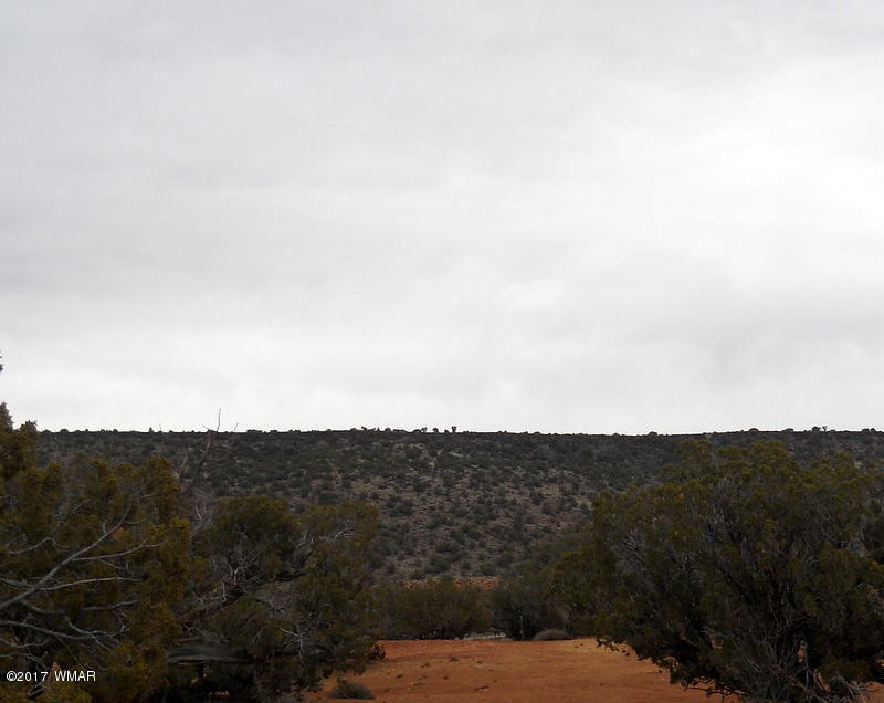 3732 Damron Valley Road Snowflake, AZ 85937 - Photo 5 of 26