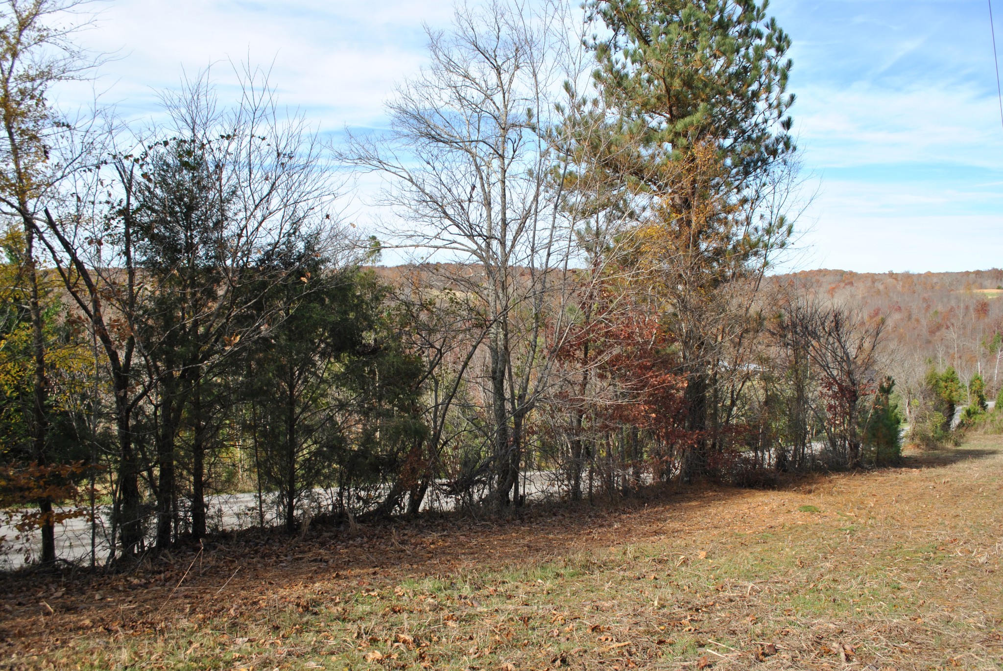 0 Lampley Road Primm Springs, TN 38476 - Photo 14 of 23 a view of a field with trees in the background