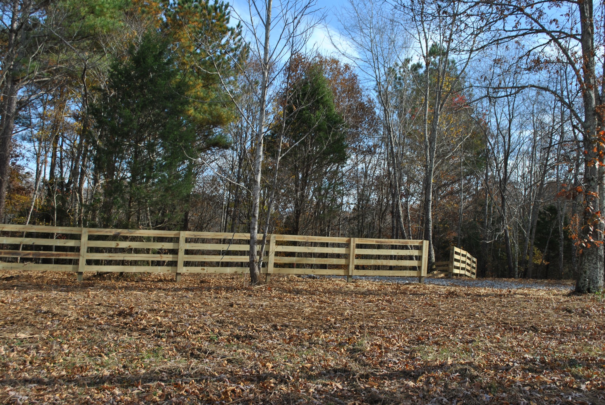 0 Lampley Road Primm Springs, TN 38476 - Photo 17 of 23 a view of outdoor space with deck and yard