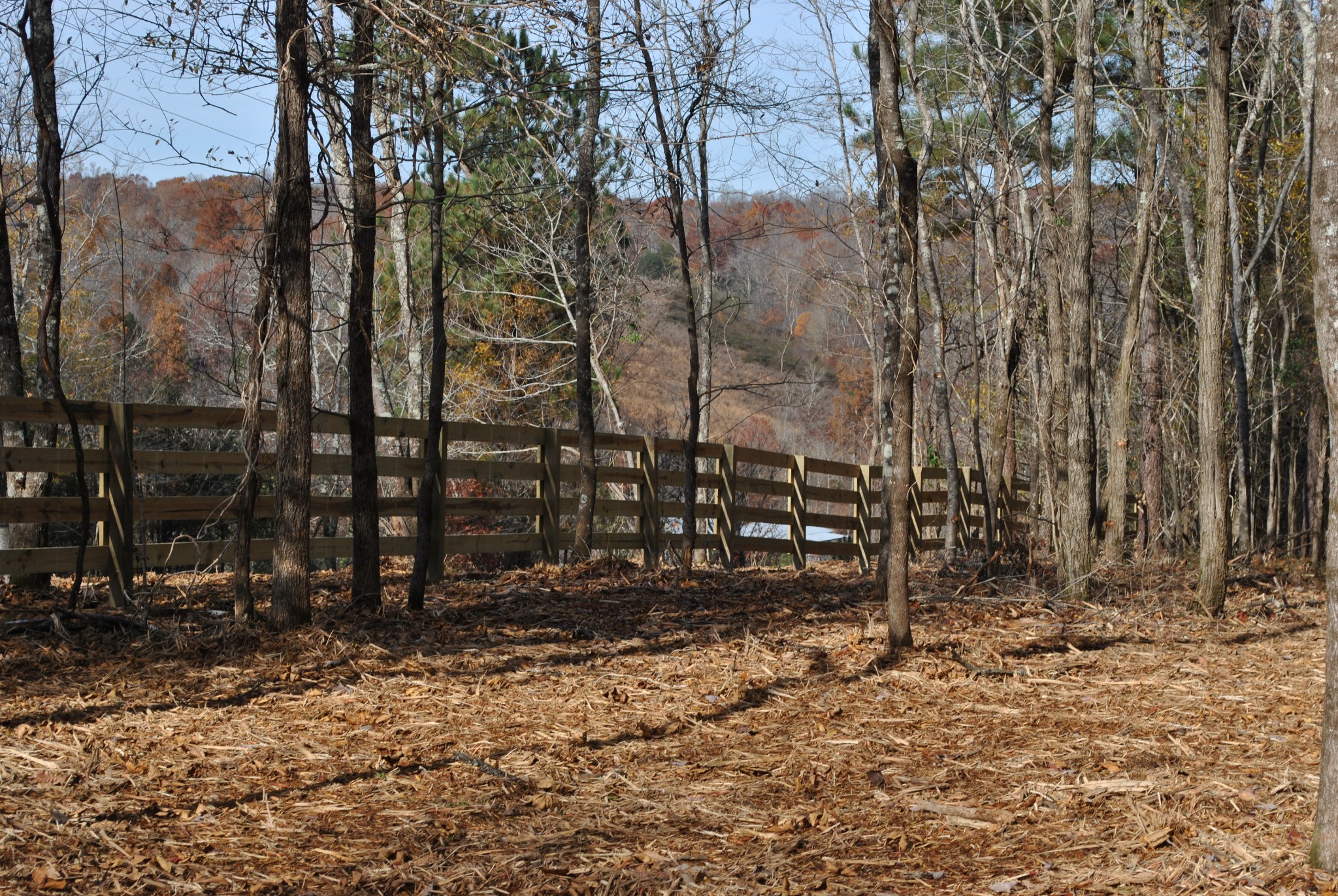 0 Lampley Road Primm Springs, TN 38476 - Photo 3 of 23 a view of a backyard of the house