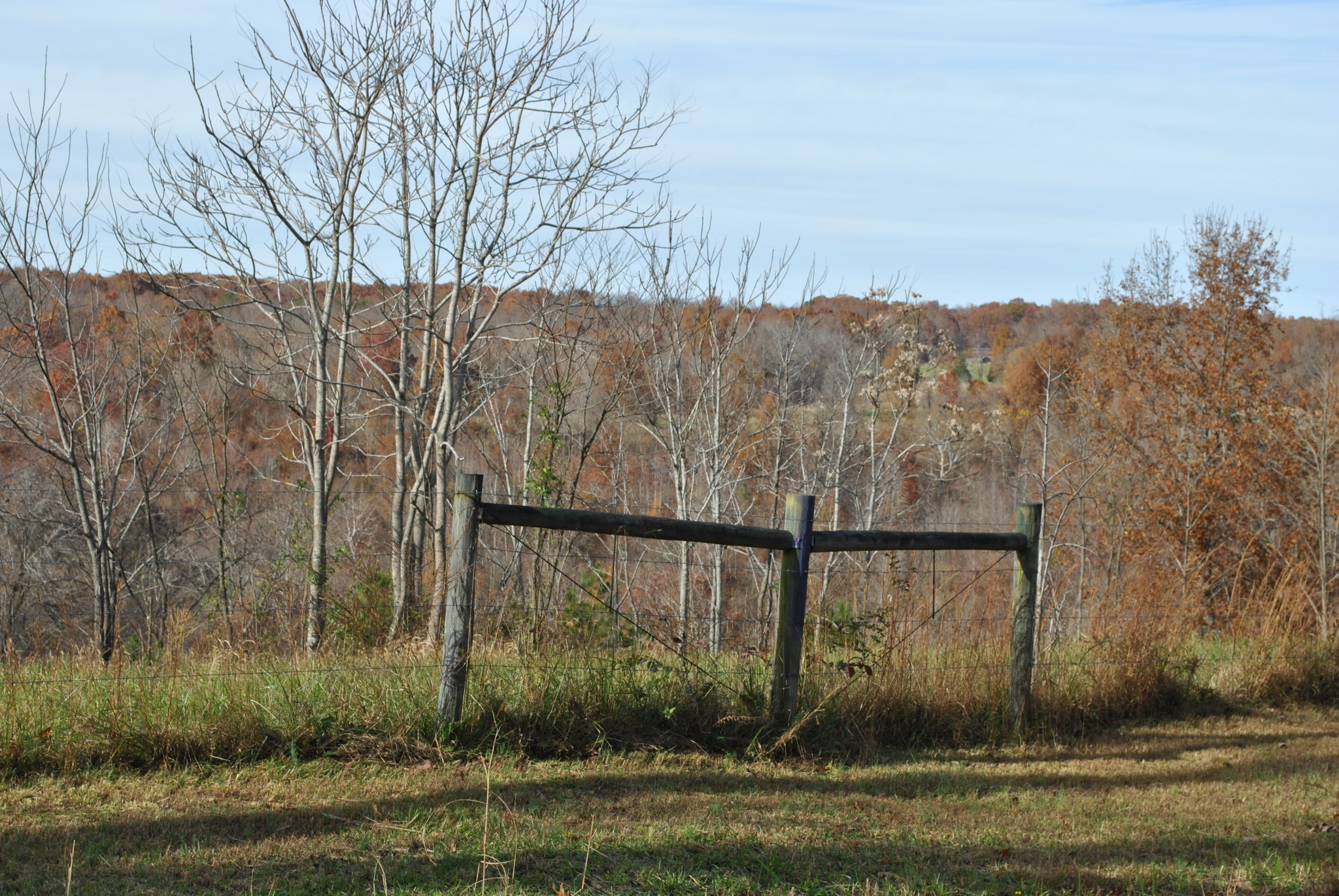 0 Lampley Road Primm Springs, TN 38476 - Photo 21 of 23 a view of a backyard