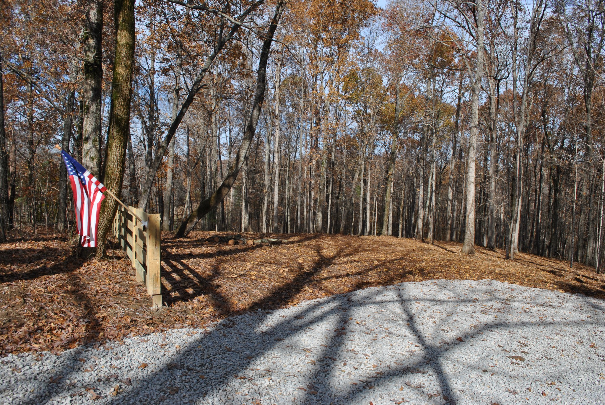 0 Lampley Road Primm Springs, TN 38476 - Photo 22 of 23 a backyard of a house with trees