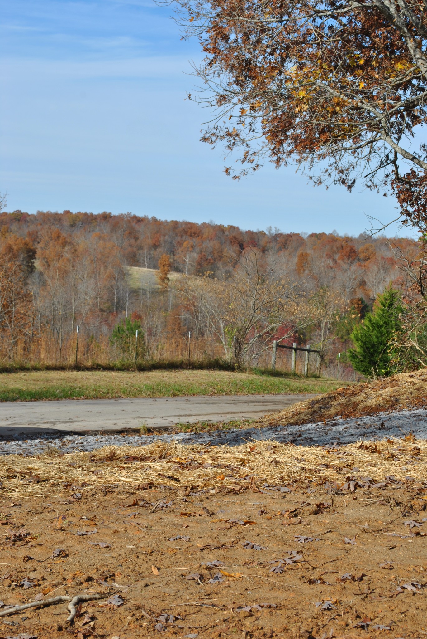 0 Lampley Road Primm Springs, TN 38476 - Photo 23 of 23 a view of a yard with mountain view