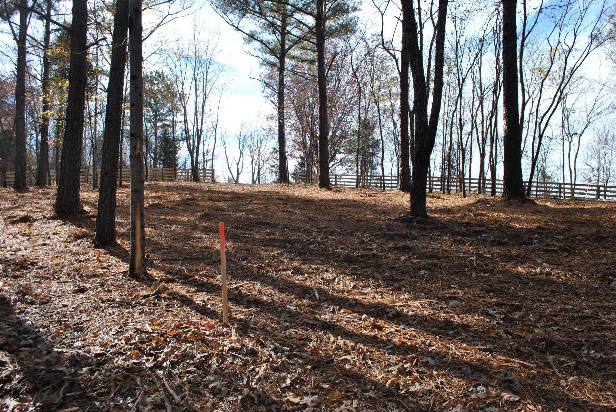 0 Lampley Road Primm Springs, TN 38476 - Photo 10 of 23 a backyard of a house with lots of green space