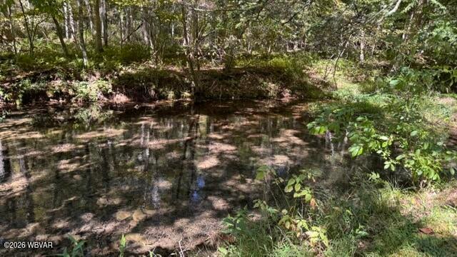 2458 Pleasant Stream Road Trout Run, PA 17771 - Photo 11 of 28 Gallery Image 11