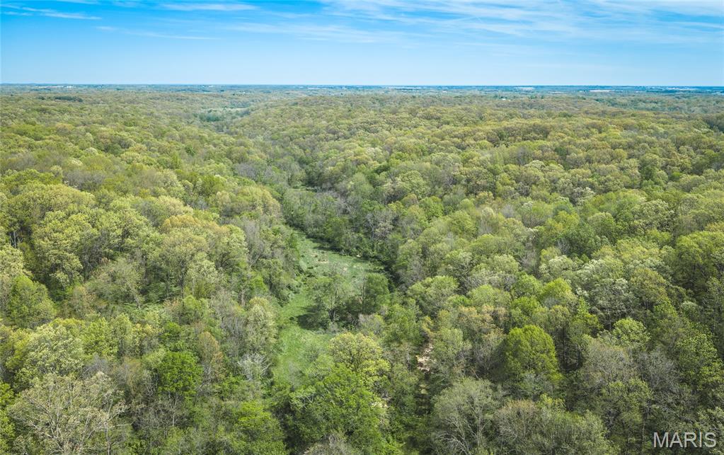 17816 Powerline Road Grafton, IL 62037 - Photo 12 of 50