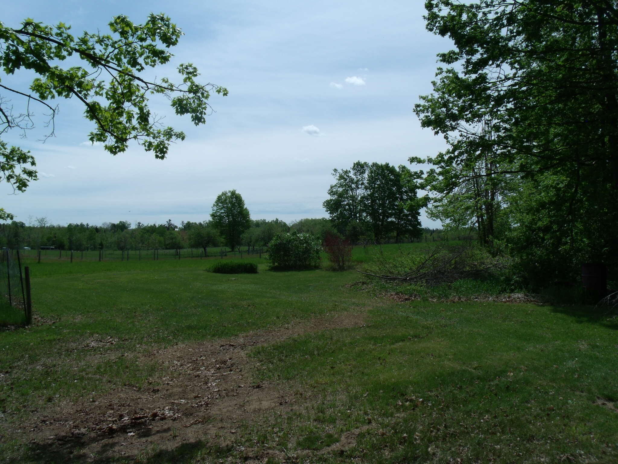 4355 West Burrows Road Wolverine, MI 49799 - Photo 24 of 49 GEDC2697