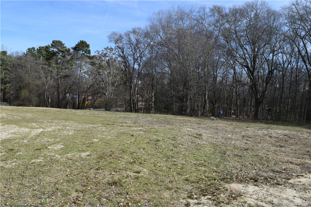 1817 Welcome Road Williamston, SC 29697 - Photo 17 of 18