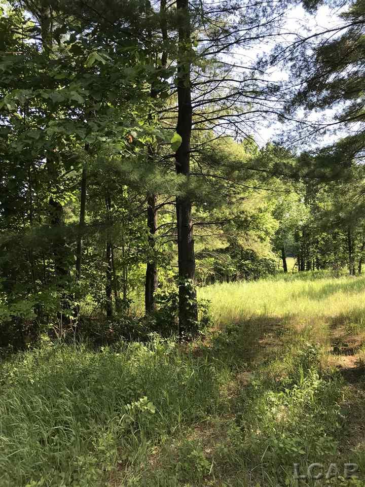 Lot 112 Hogan Road Manchester, MI 48158 - Photo 2 of 5