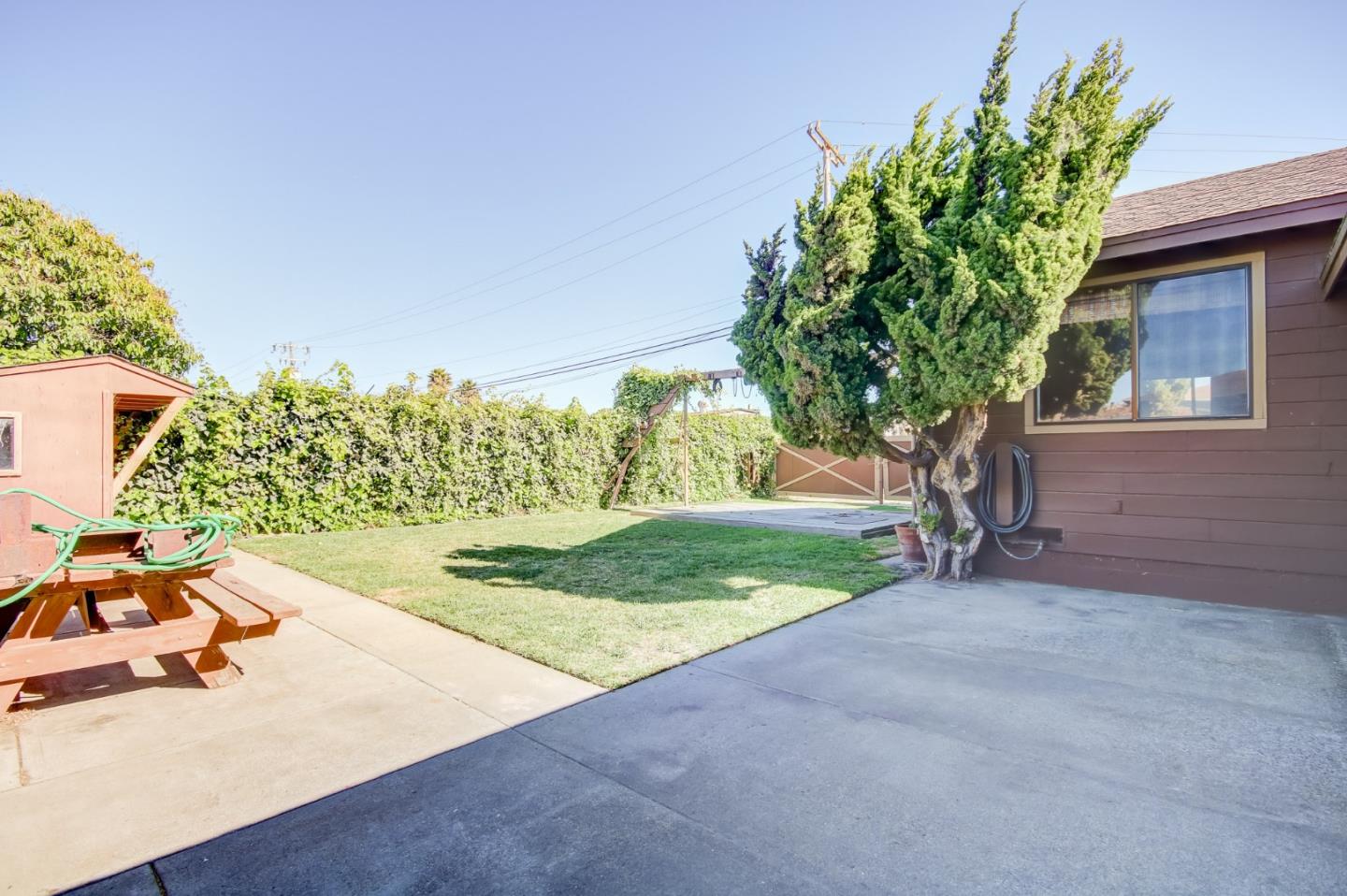 410 Bardin Road Salinas, CA 93905 - Photo 6 of 40 a view of a backyard with plants and tree