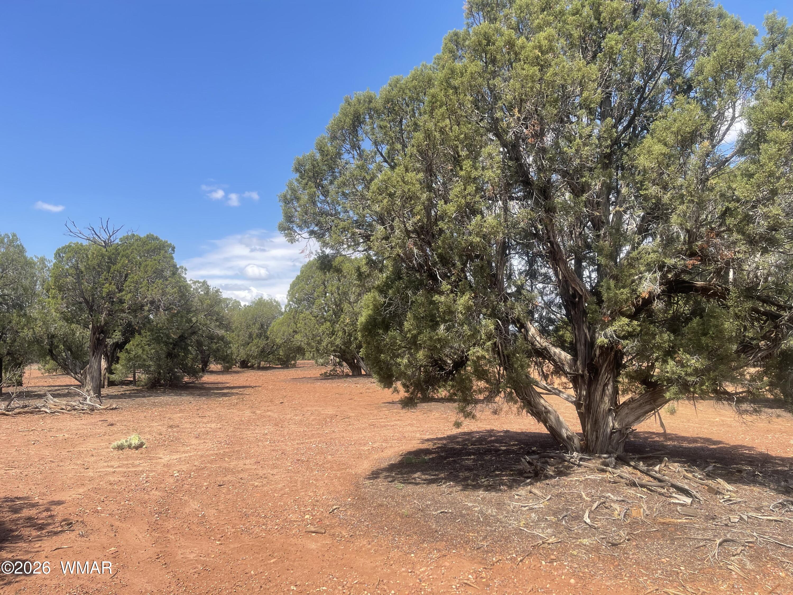 4934 Elk Trail Road Clay Springs, AZ 85923 - Photo 12 of 21 Gallery Image 12