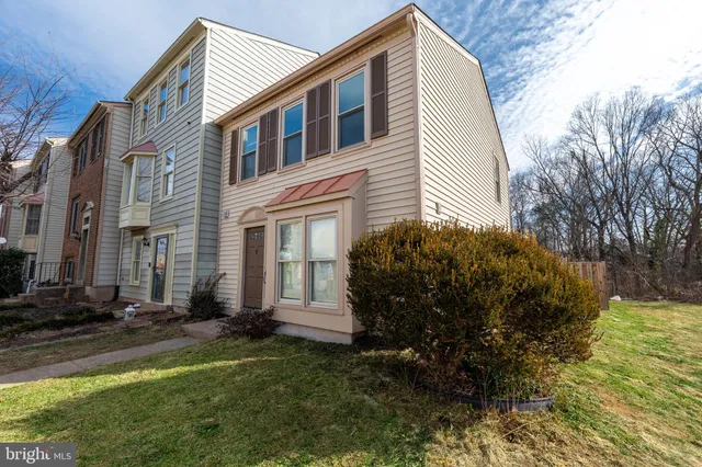 a view of a backyard with potted plants and a large tree