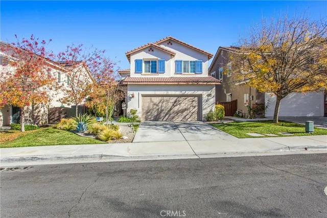 a potted plant sitting in front of a house
