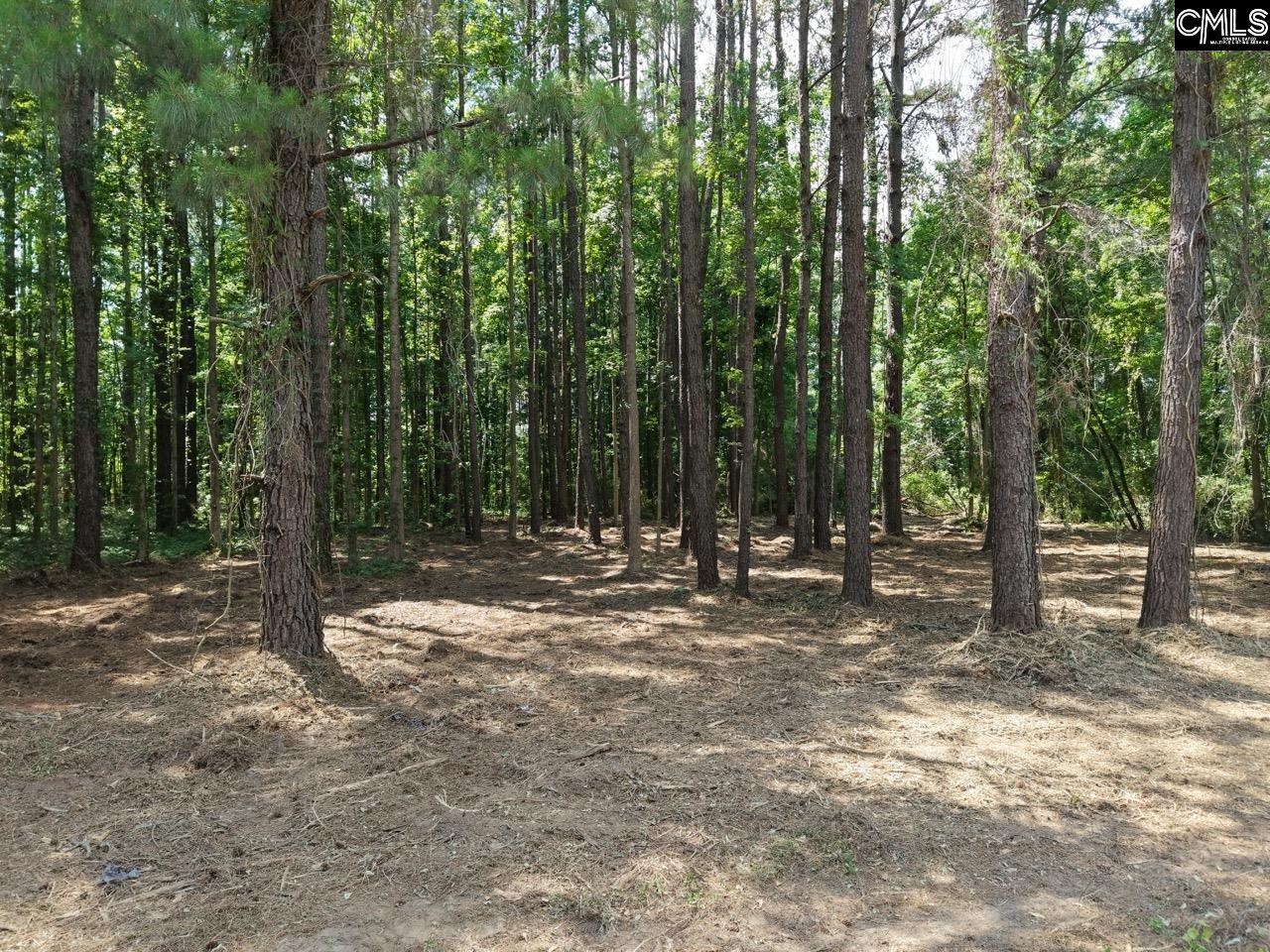 0 Peace Lane Bowman, SC 29018 - Photo 11 of 13