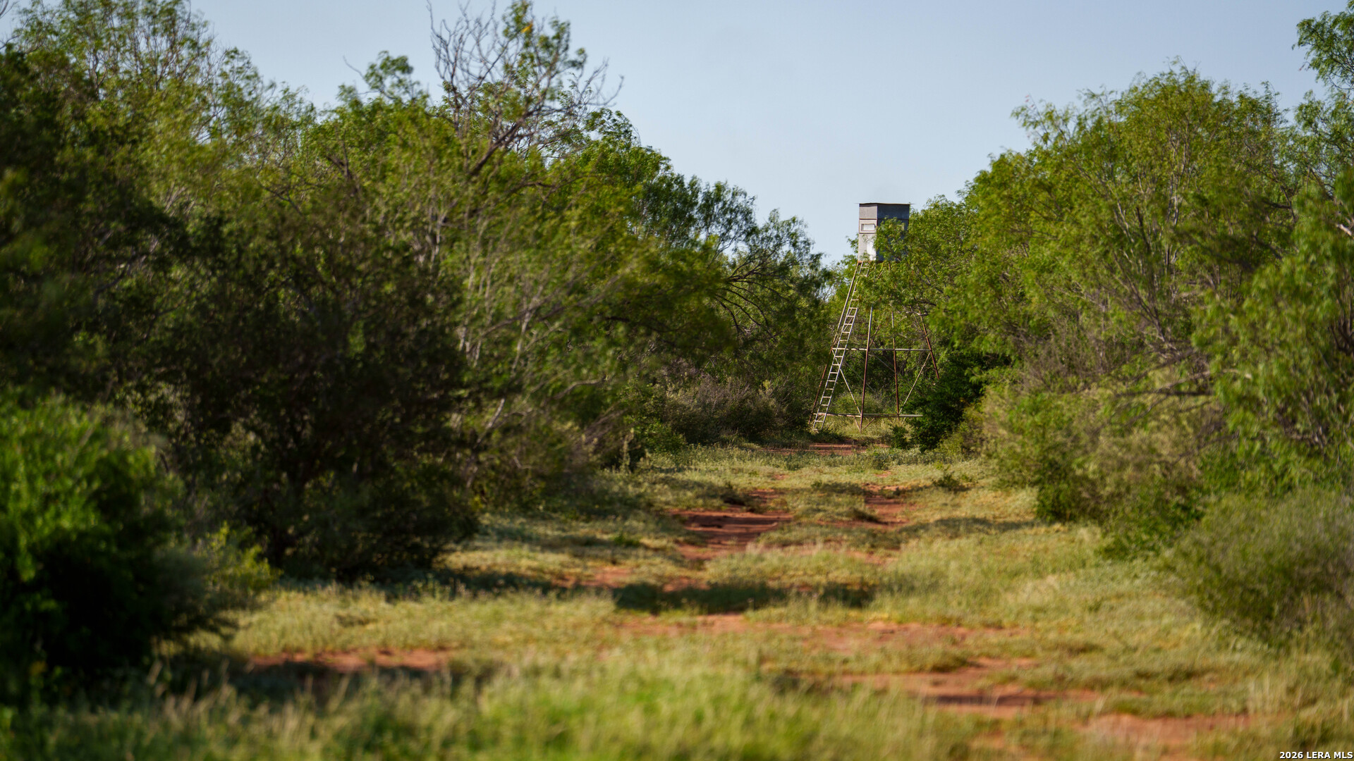 0 Vesper Cotulla, TX 78014 - Photo 11 of 30 a view of outdoor space and a yard