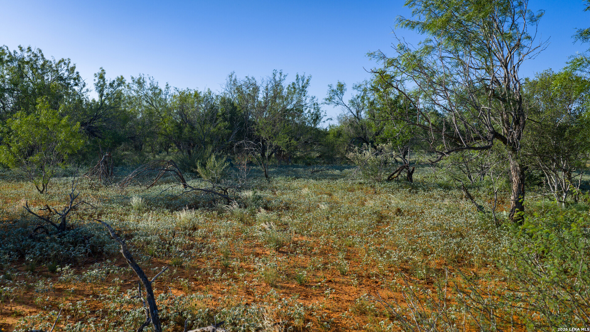 0 Vesper Cotulla, TX 78014 - Photo 14 of 30 a view of a forest with trees in the background