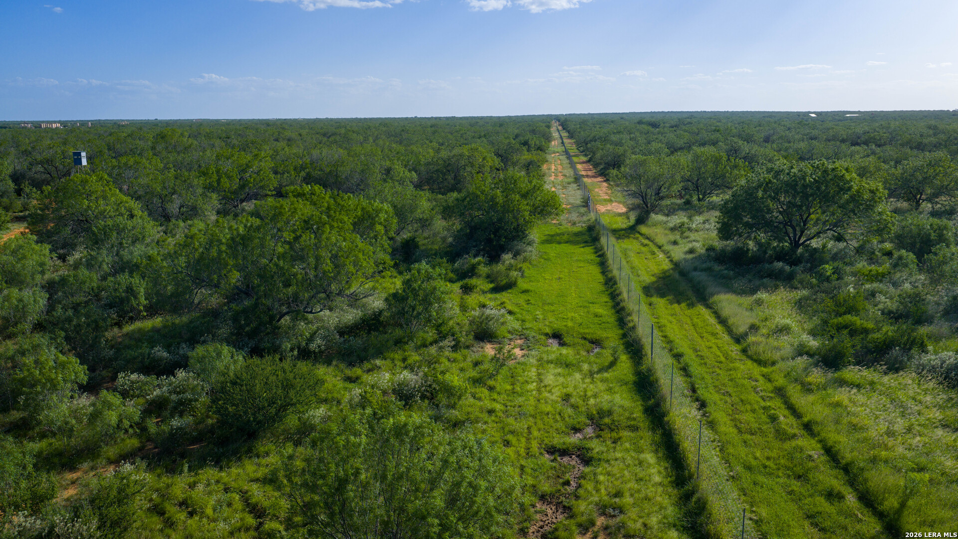 0 Vesper Cotulla, TX 78014 - Photo 22 of 30 a view of a lush green forest with lots of trees