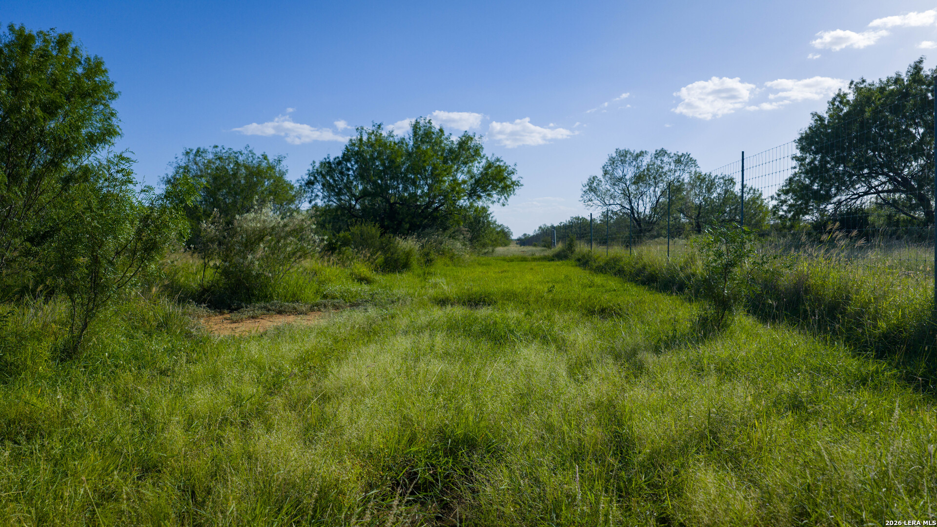 0 Vesper Cotulla, TX 78014 - Photo 5 of 30 a view of a lush green space
