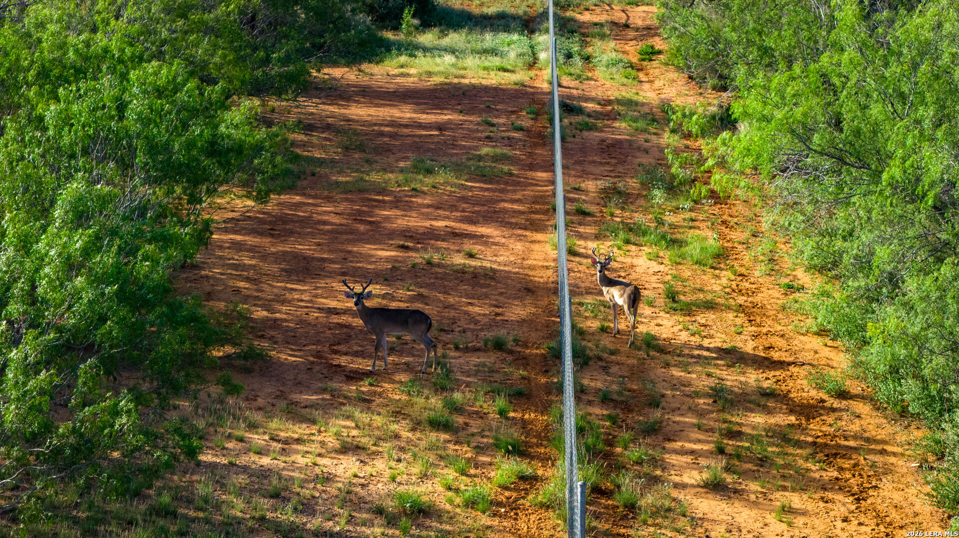 0 Vesper Cotulla, TX 78014 - Photo 7 of 30 a backyard of a house