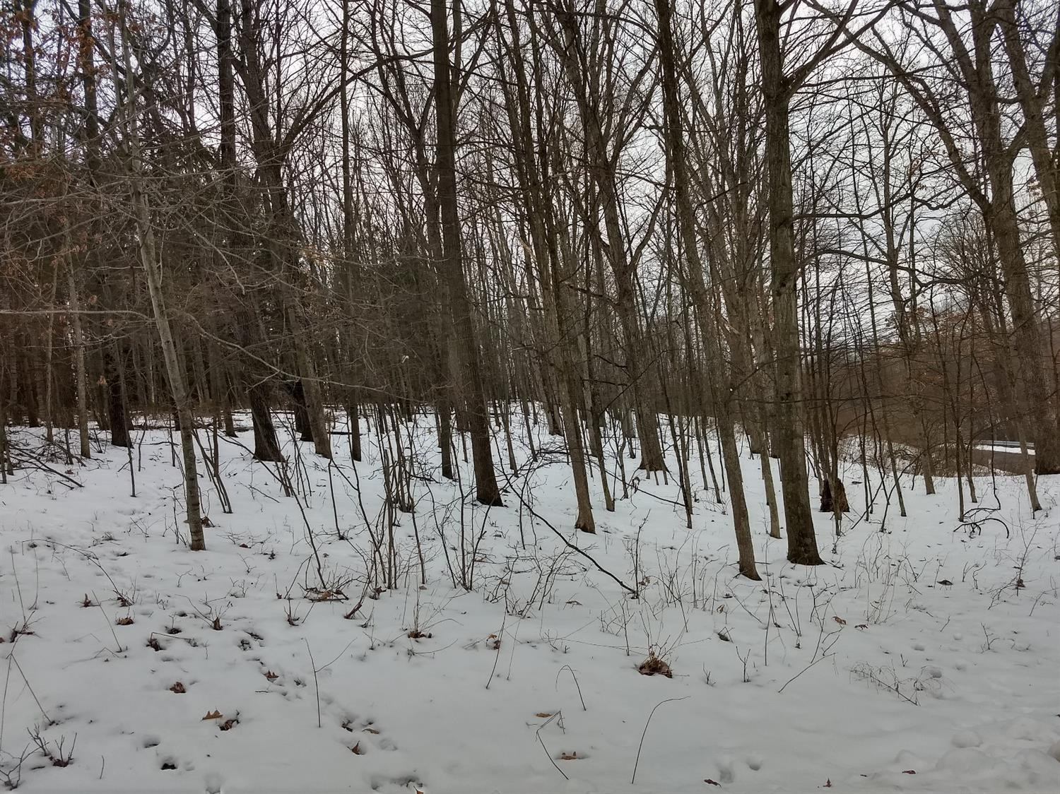 18262 Timber Lake Ridge Manchester, MI 48158 - Photo 12 of 13 Photo 12