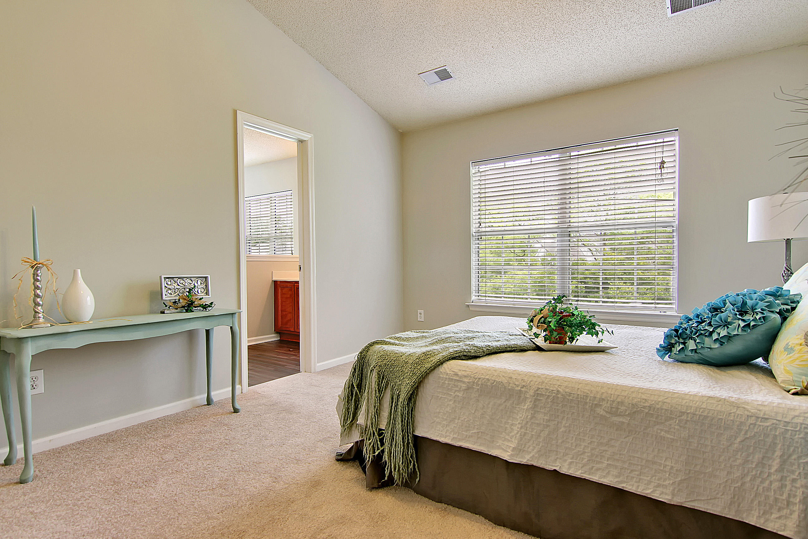 225 Eagle Ridge Road Summerville, SC 29485 - Photo 19 of 35 IMG_0320_IMG_0324 copy
