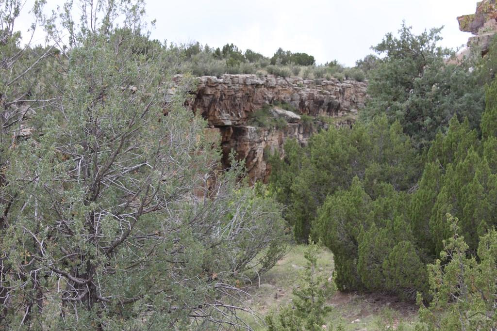 Tbd South Tbd S Waterbarrel Road Beulah, CO 81023 - Photo 3 of 21