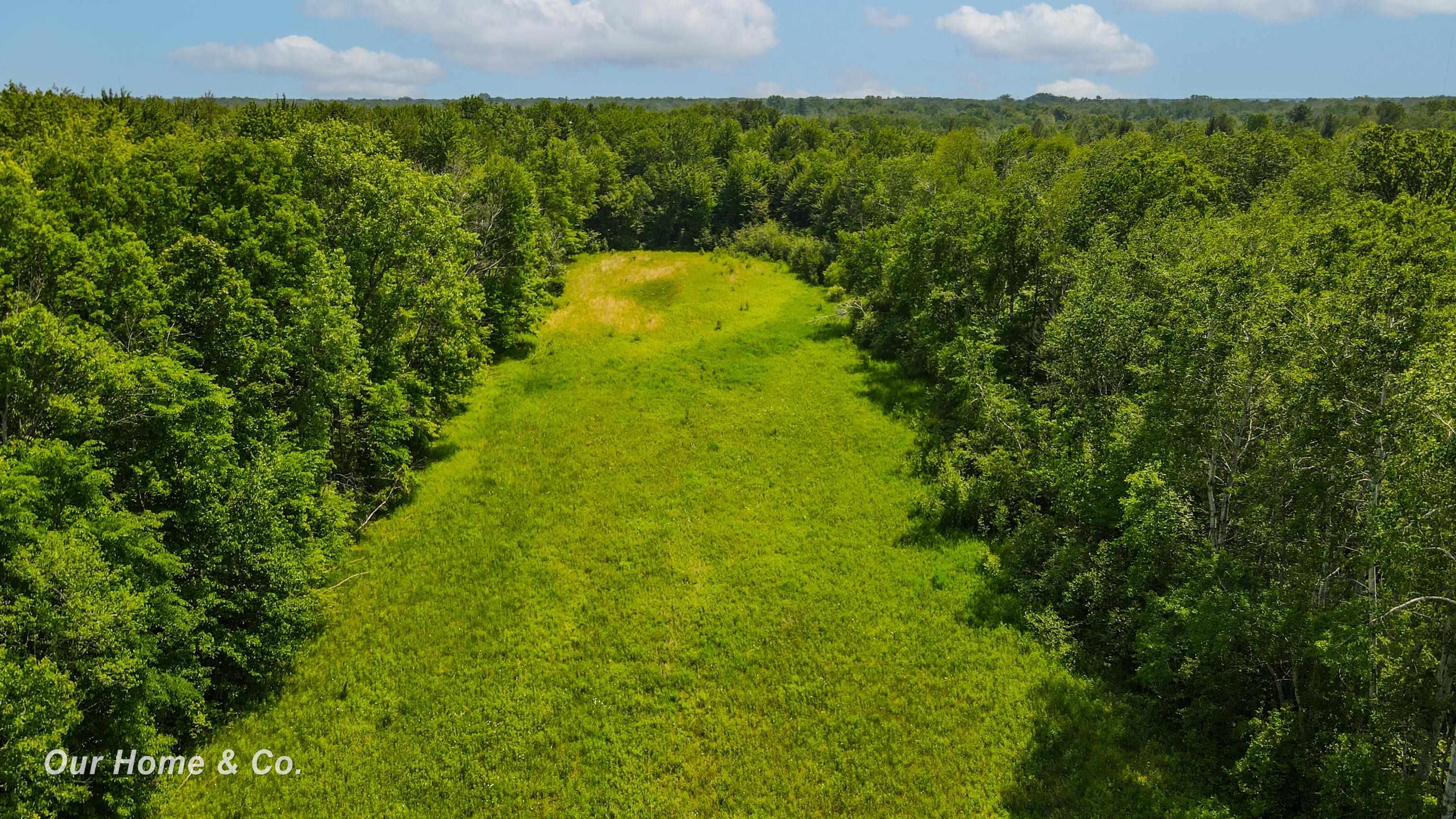 0 North Carter Road Pinconning, MI 48650 - Photo 22 of 29