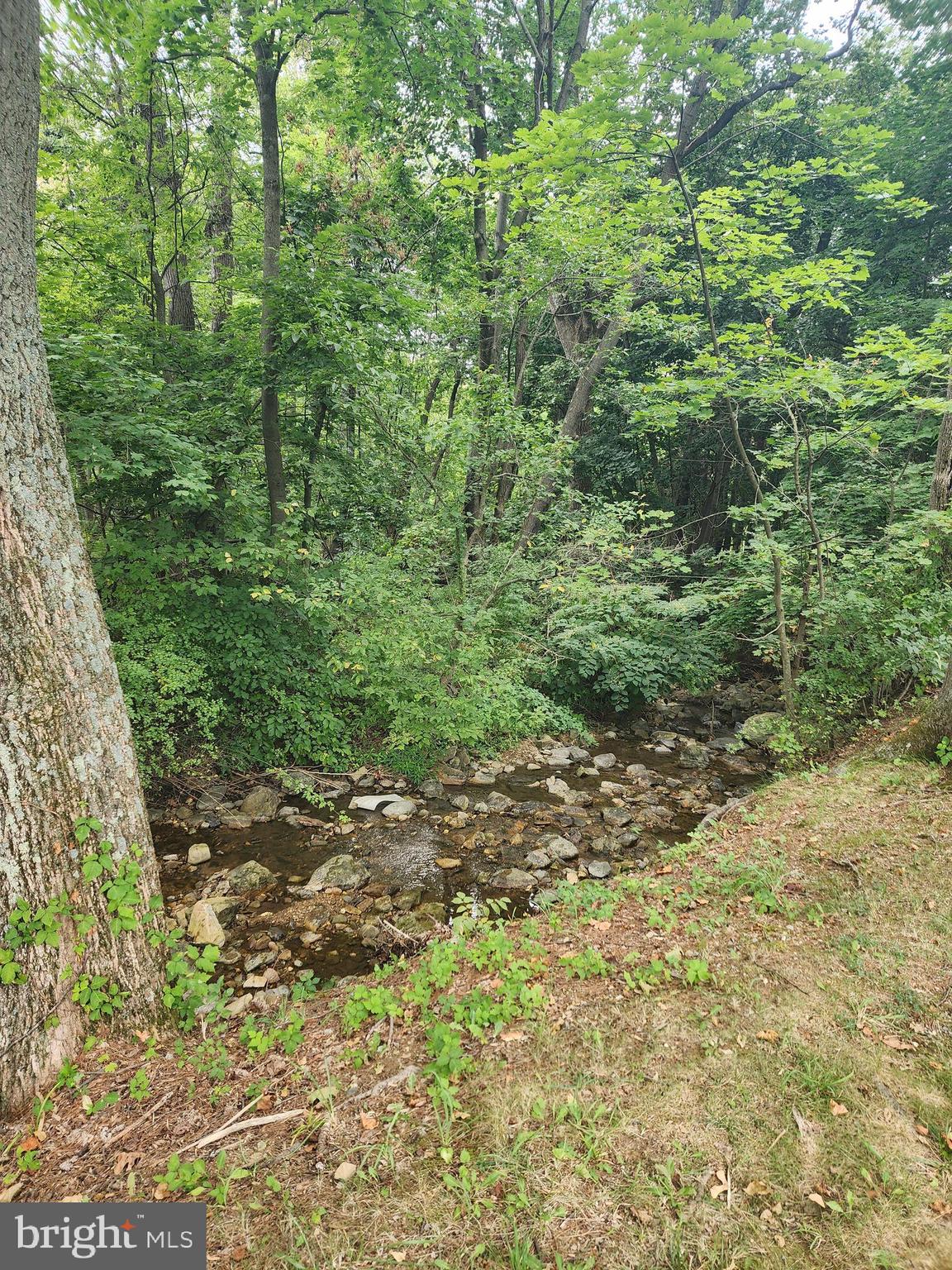 22916 Cavetown Church Road Smithsburg, MD 21783 - Photo 11 of 13 Mountain Stream