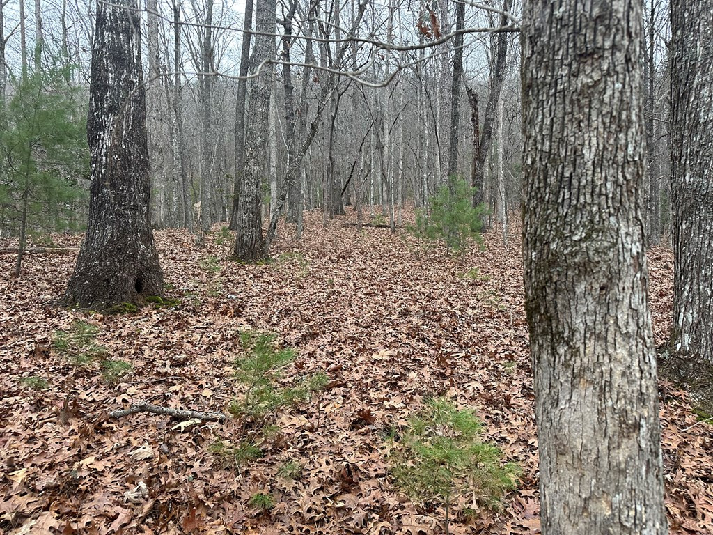 0 Marrestop Road Murphy, NC 28906 - Photo 5 of 14