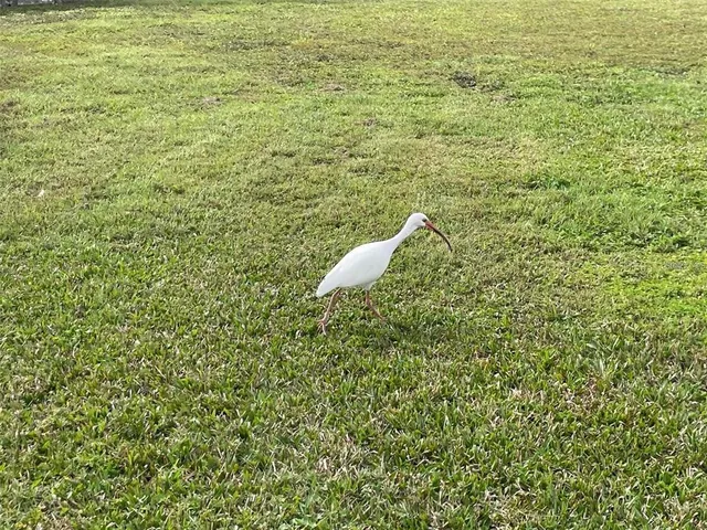 a view of a room with a small window