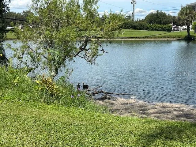 a view of a lake with houses in outdoor space
