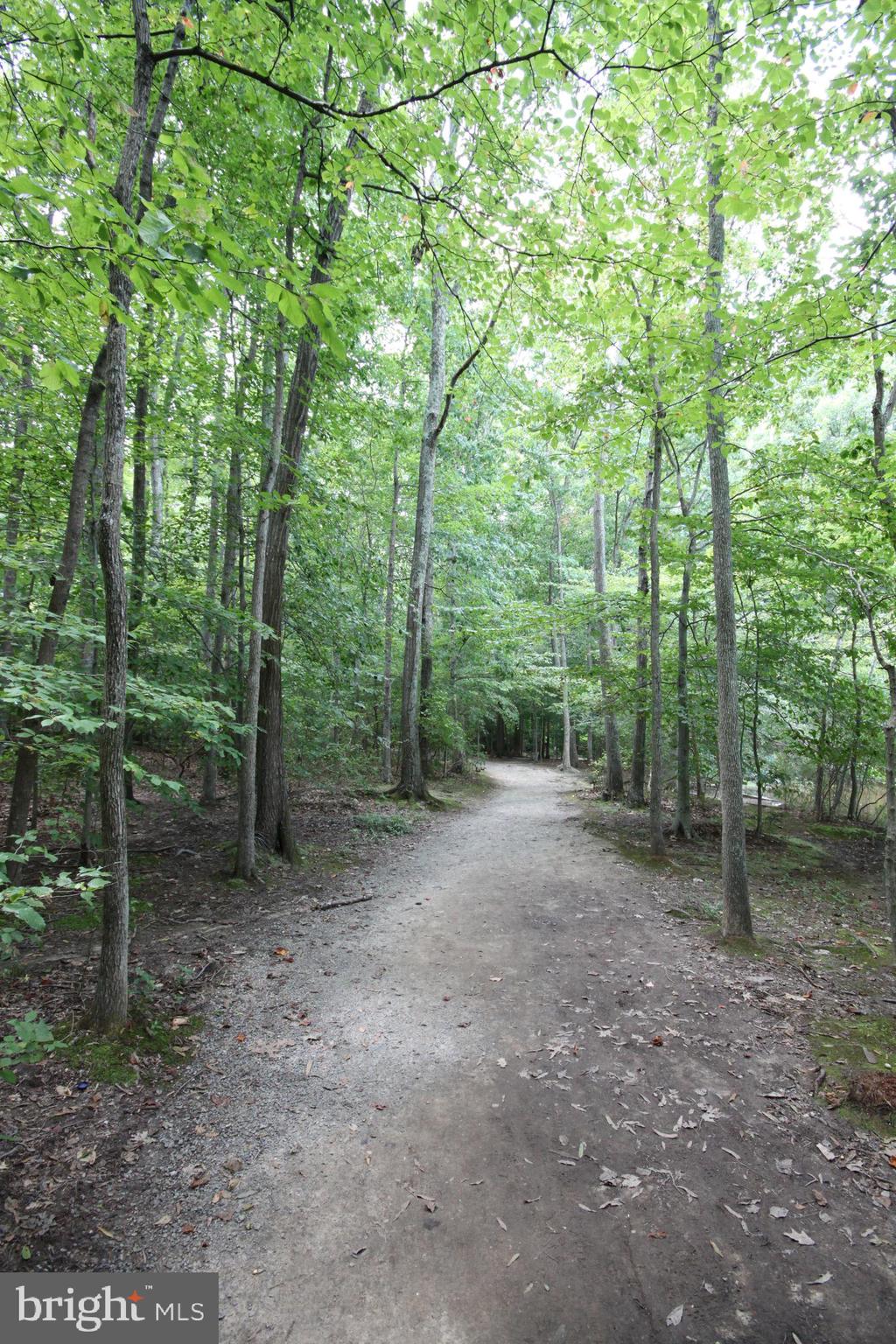 Nearby Burke Lake Park