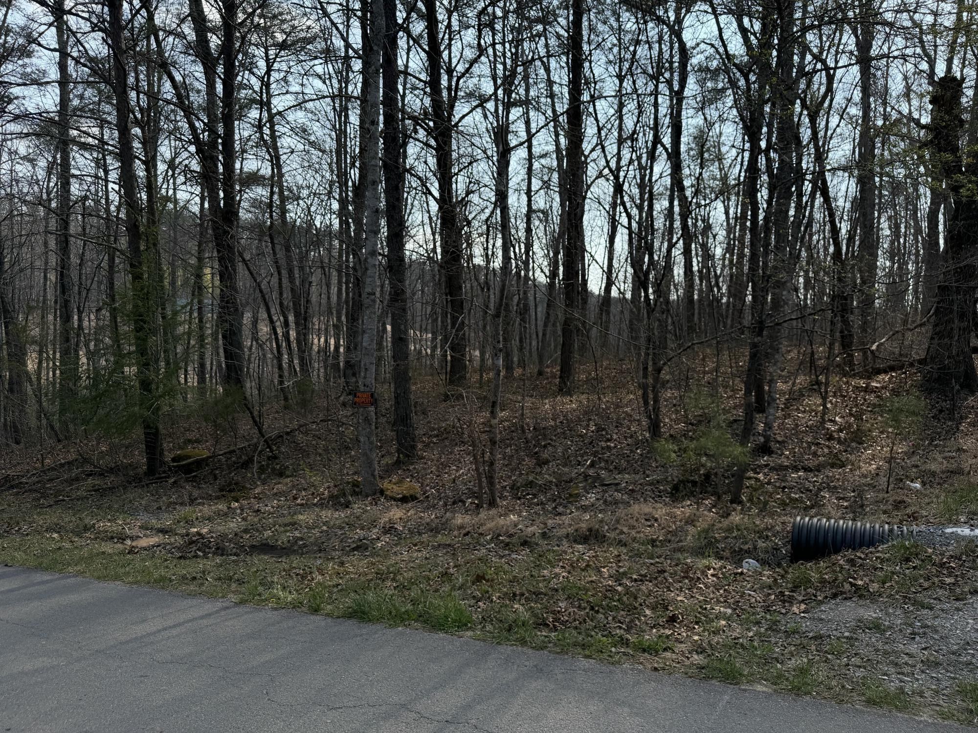 1065 Deerhead Road Dunlap, TN 37327 - Photo 16 of 19 Gallery Image 16