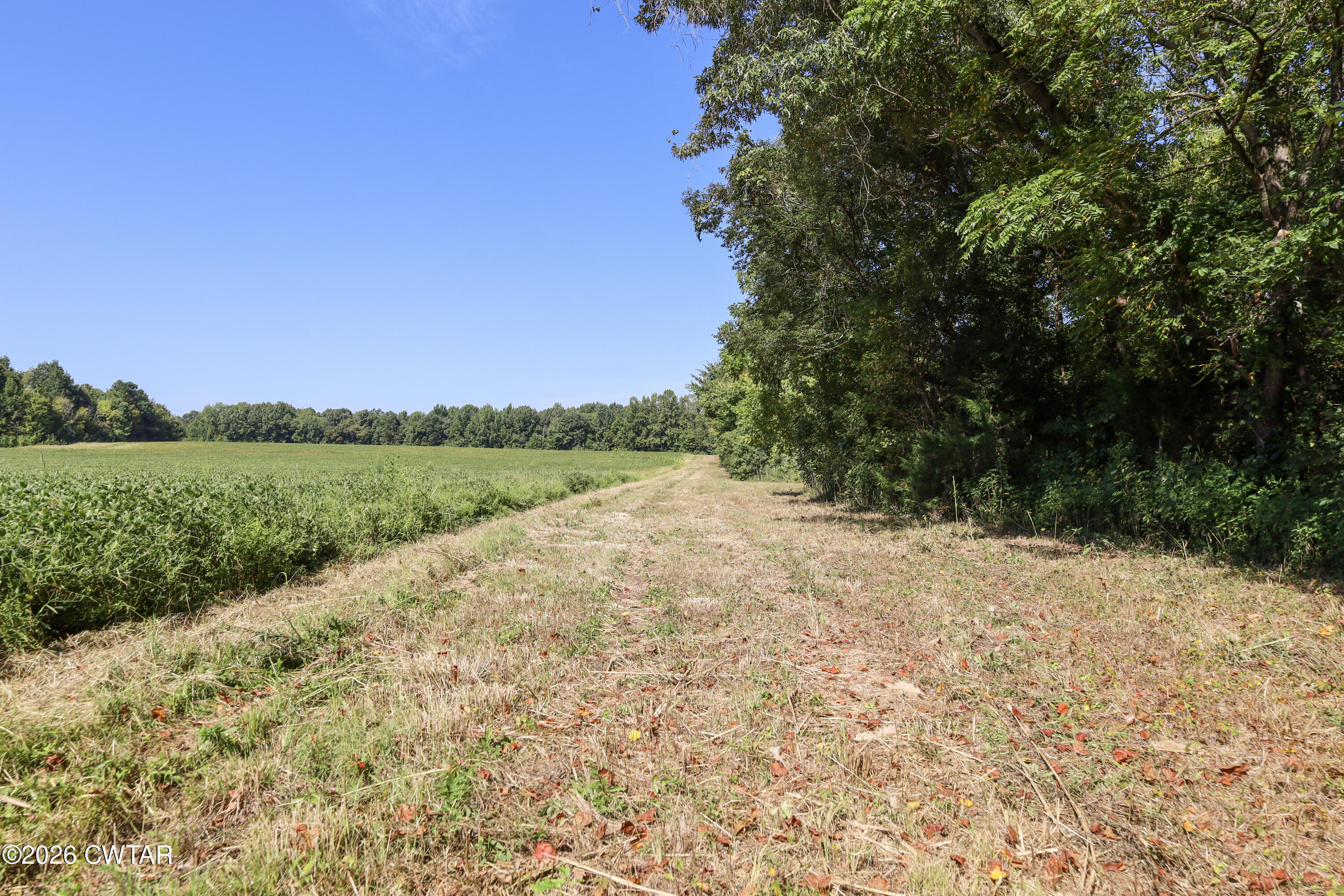 0 Betty Manley Road Jackson, TN 38301 - Photo 39 of 46 32-IMG_4936