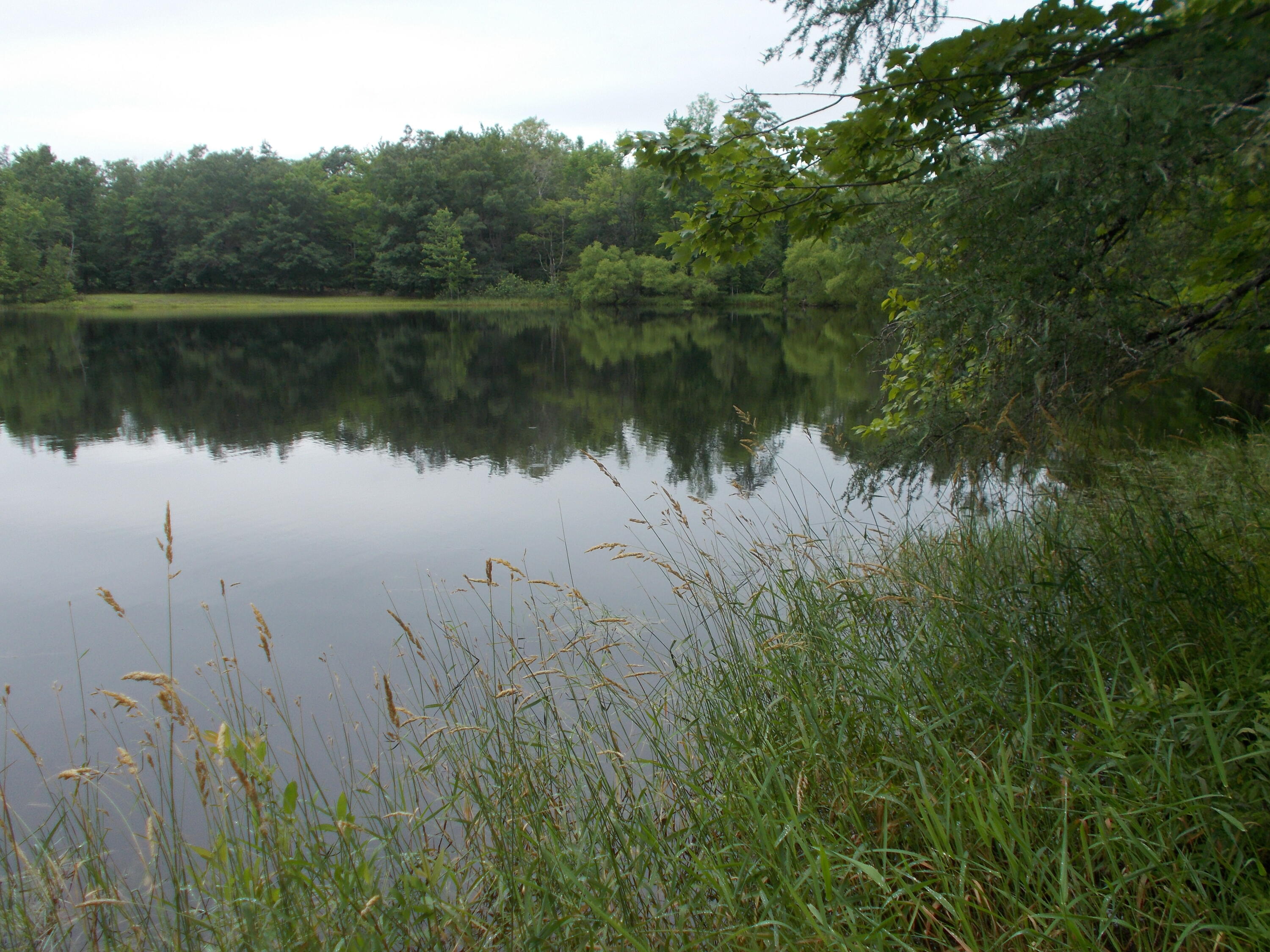 416 Johnson Flat Road Clinton, ME 04927 - Photo 29 of 69 DSCN2549