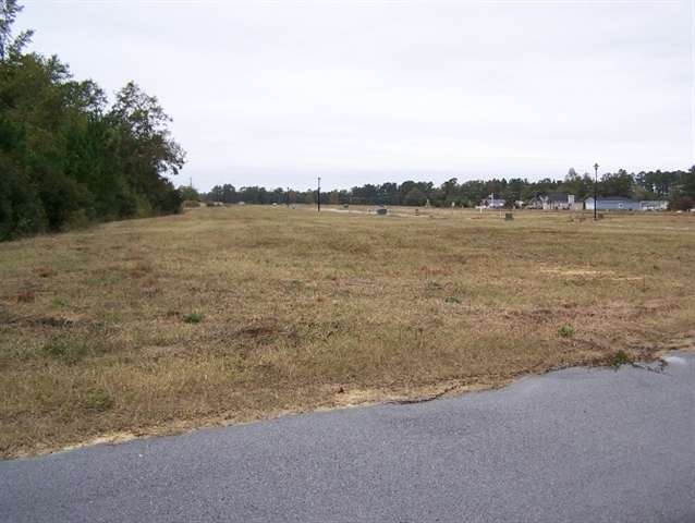 Lot 14 Cox Road Loris, SC 29569 - Photo 3 of 5 Gallery Image 3