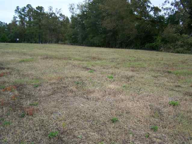 Lot 14 Cox Road Loris, SC 29569 - Photo 4 of 5 Gallery Image 4