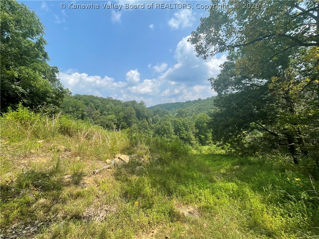 0 Russell Road St. Albans, WV 25177 - Photo 7 of 7 Gallery Image 7