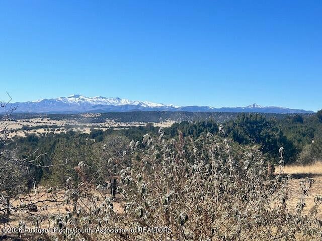 185 Fort Lone Tree Road Capitan, NM 88316 - Photo 44 of 57 Gallery Image 44