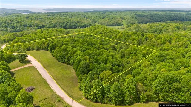 a view of a tennis court