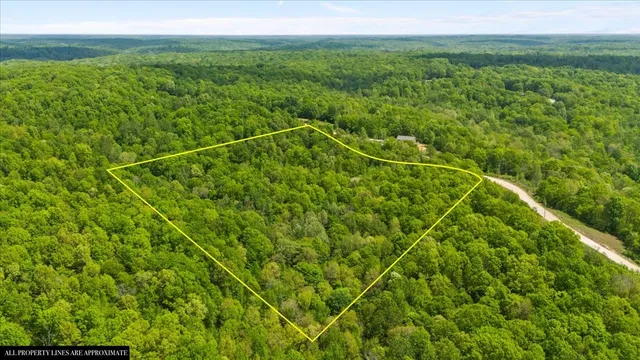 a view of a lake and trees in the background