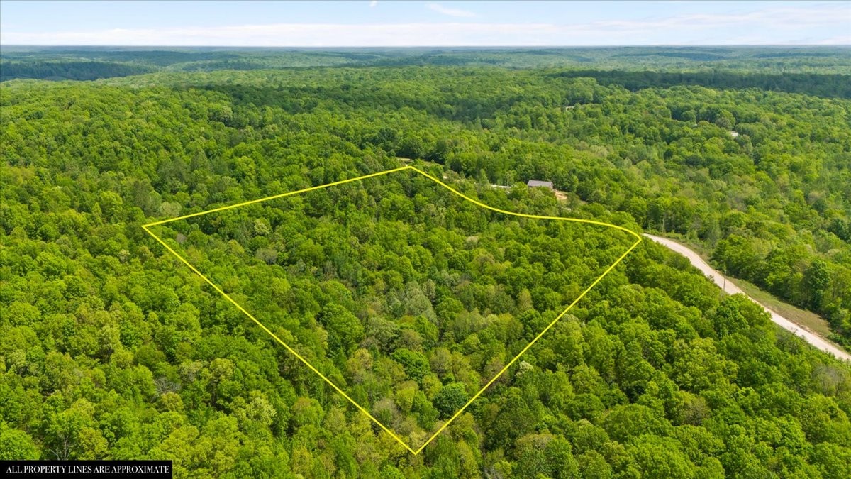 3200 Jack Saunders Road Waverly, TN 37185 - Photo 11 of 38 a view of a field with an outdoor space