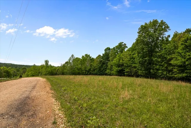 a view of a big yard