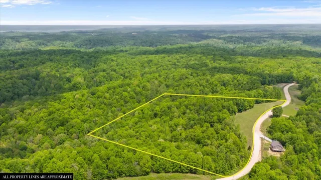 a view of a lush green forest with trees and some houses