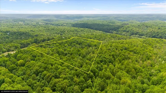 a view of a lush green field