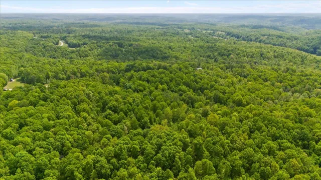a view of lake with green space