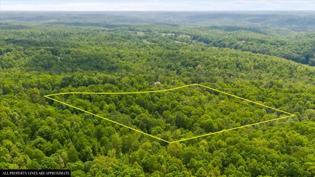 a view of a field with an ocean