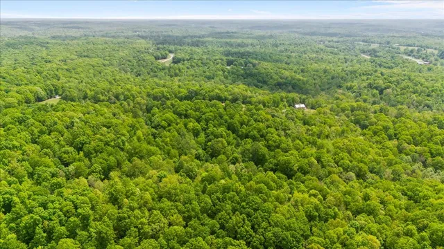 a view of a yard with an outdoor space