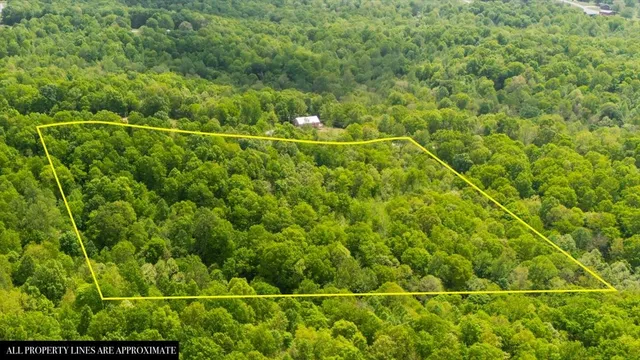 a view of a back yard