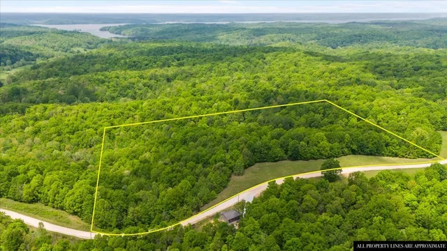 a view of a lake with a park